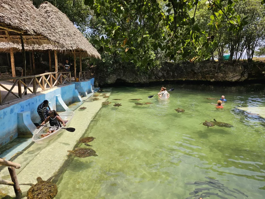 Nungwi, Mnarani akvarium