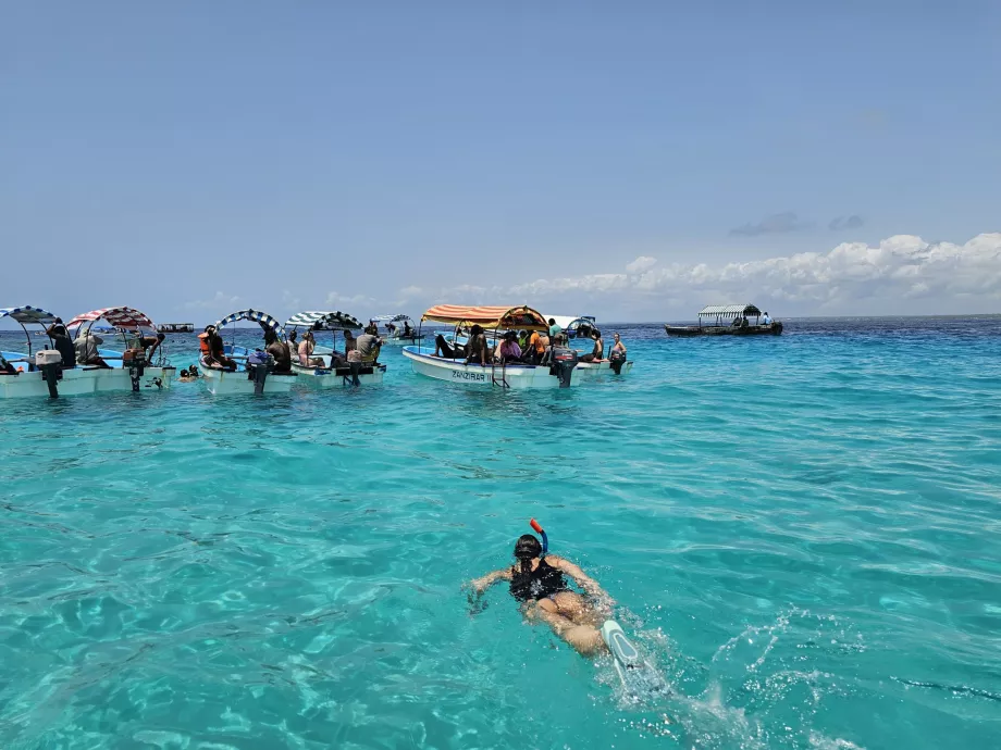 Snorkling i nærheten av Mnemba-atollen