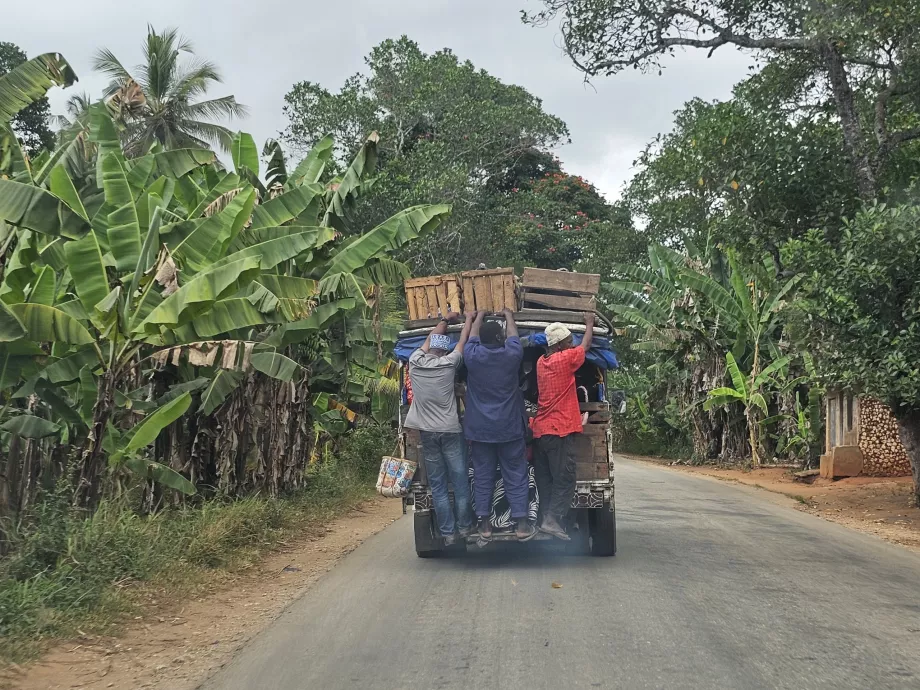 Den gamle bussen hun ga