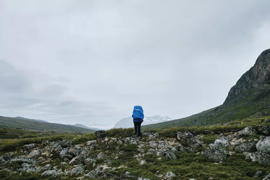 Vandring på Grønland