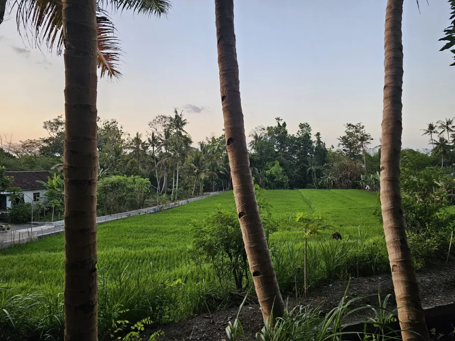 Reisen fra Ratu Boko