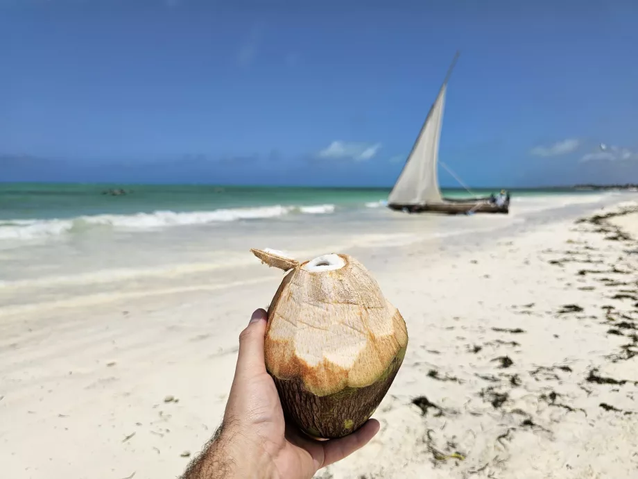 Kokosnøtt på stranden i Paje