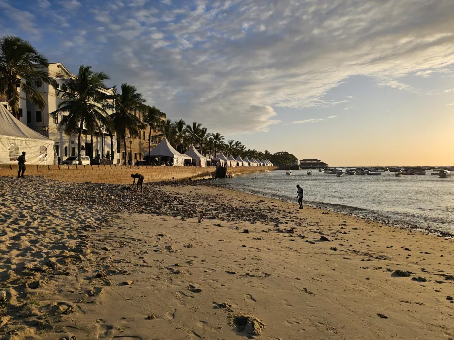 Stranden ved Forodhani-promenaden