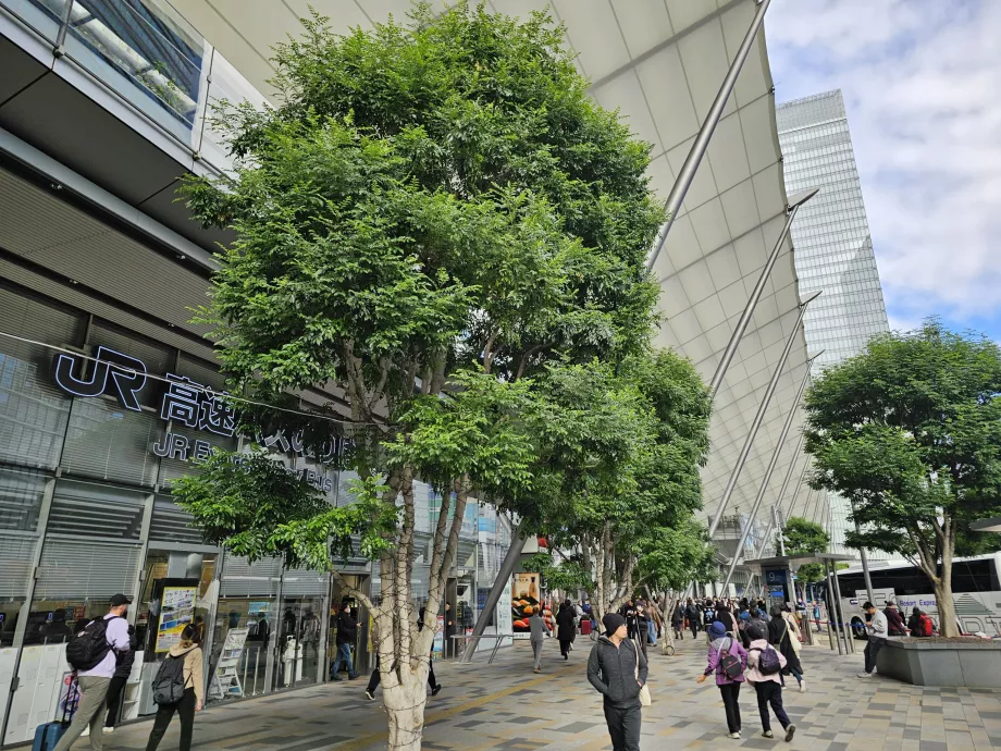 Tokyo sentrale busstasjon