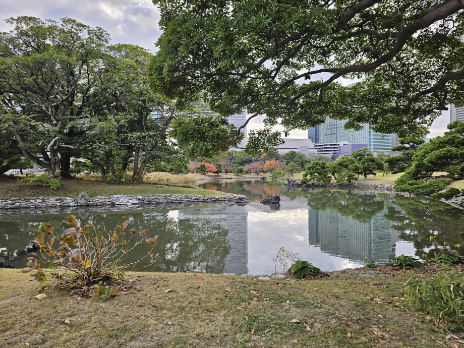 Hama-rikyu Gardens