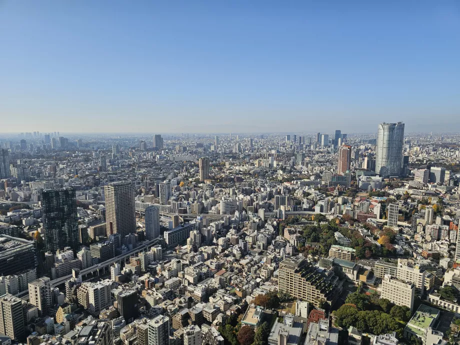 Utsikt fra toppetasjen