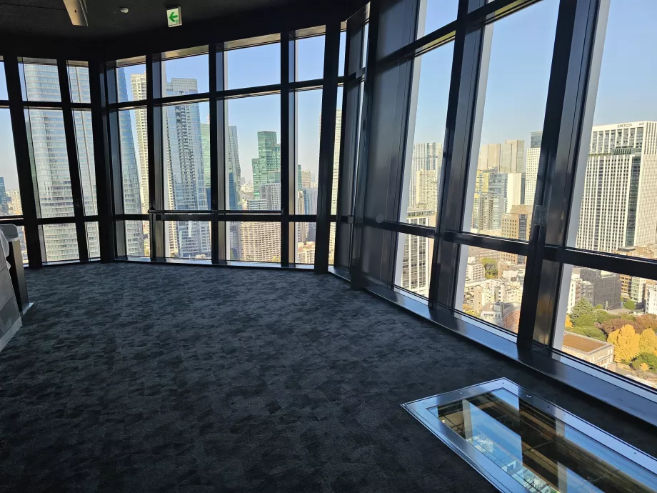 Hovedobservasjonsplattform