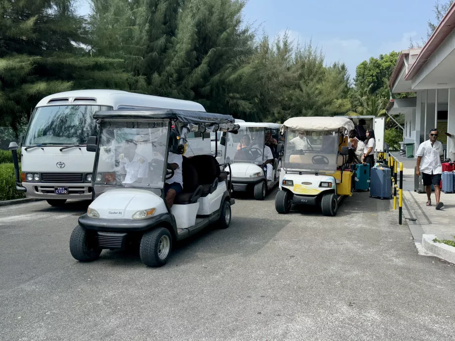 Buggies for turen til havnen