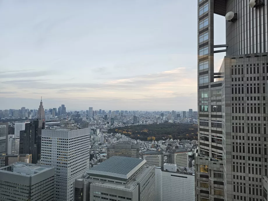 Tokyo Metropolitan Government Building