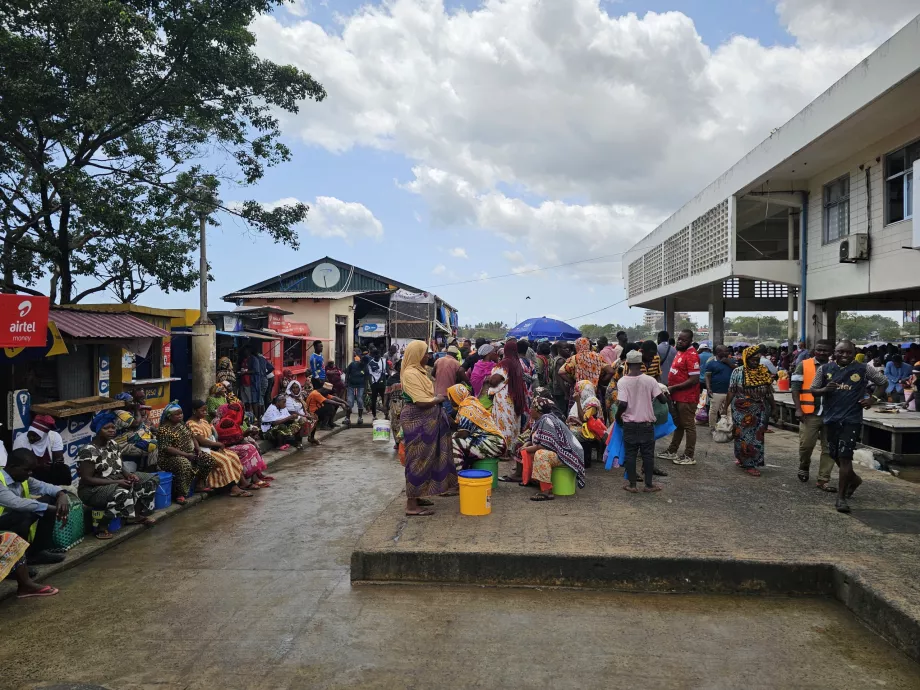 Ferry Fish Market