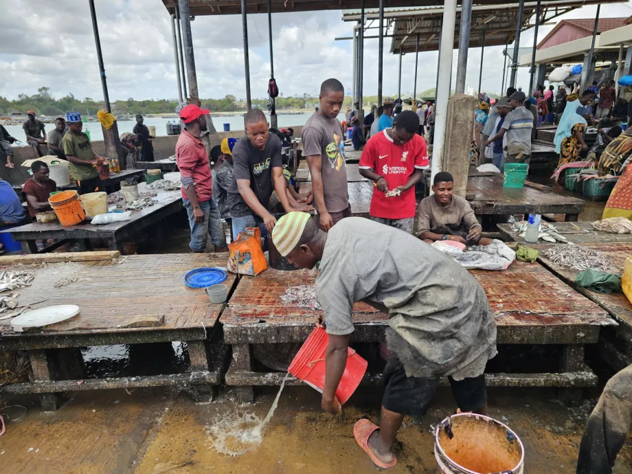 Ferry Fish Market