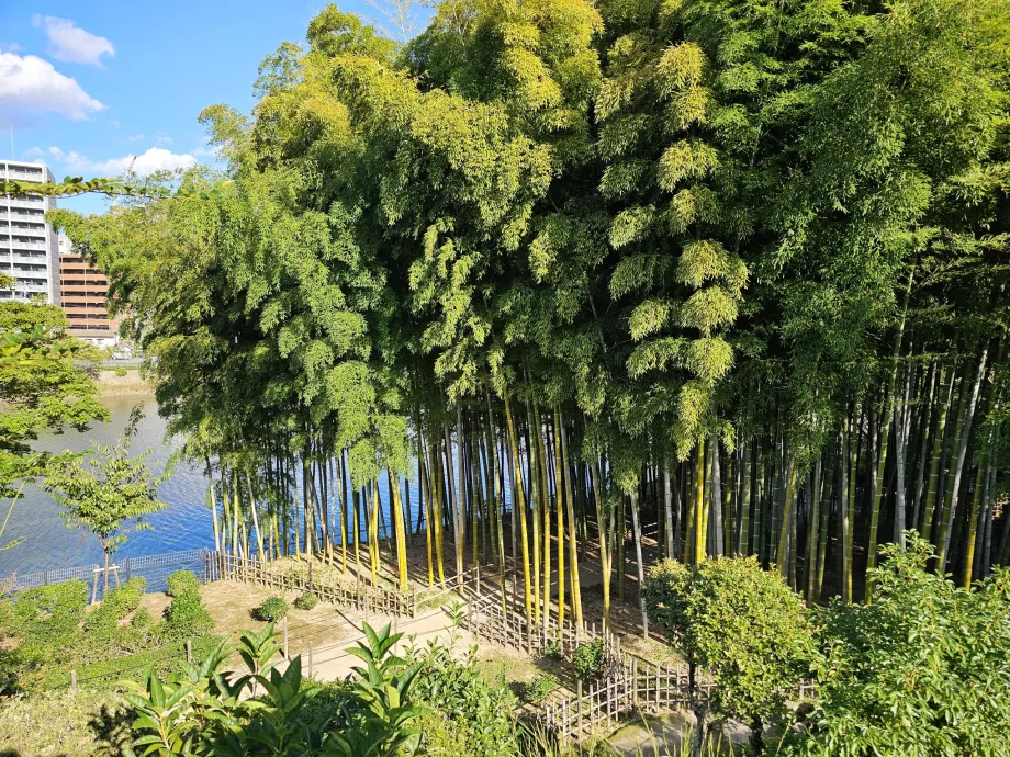 Shukkeien-hagen
