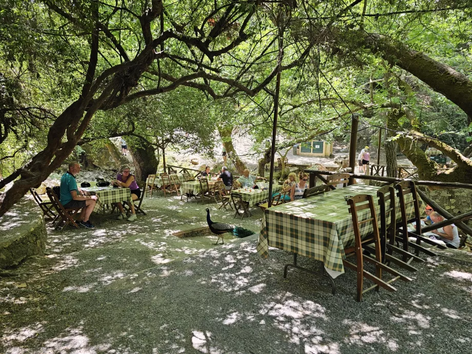 Restaurant på De syv kilder