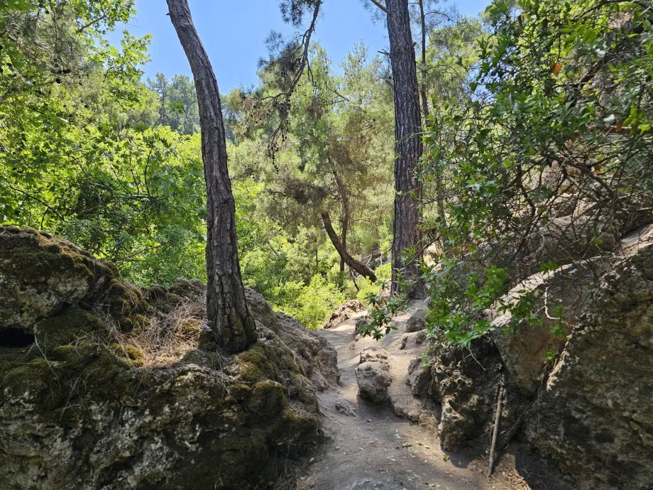 Reisen ved de syv kilder