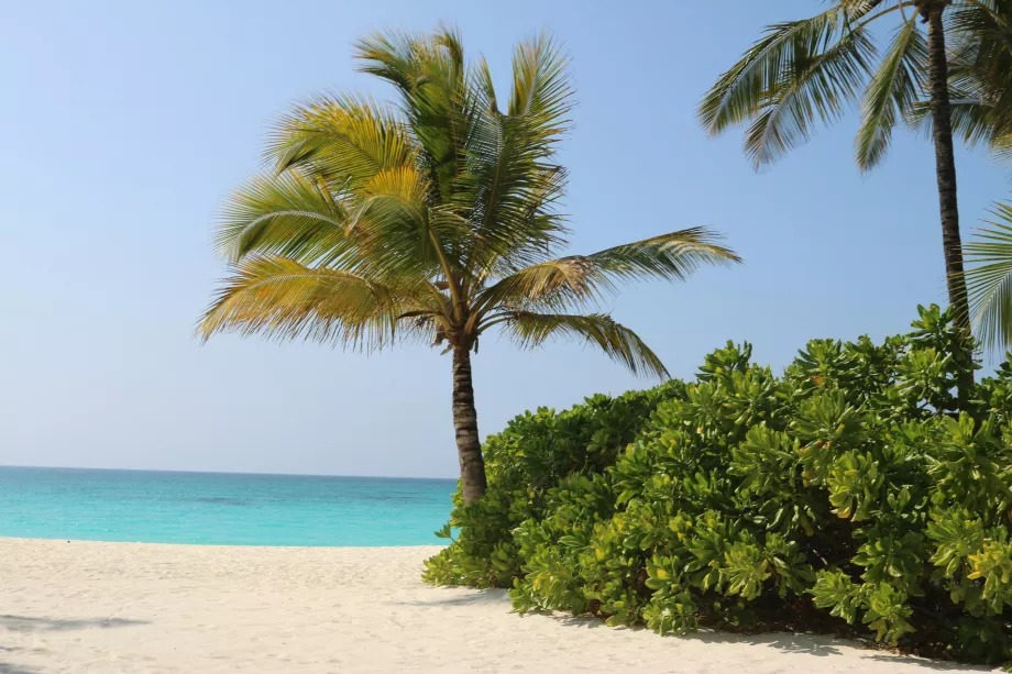 Sinda Island