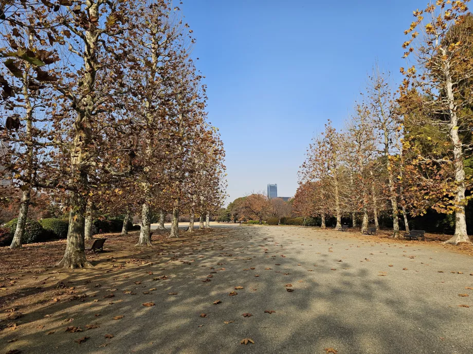 Shinjuku Gyoen nasjonalhage