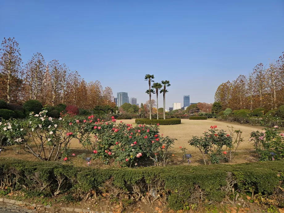 Shinjuku Gyoen nasjonalhage