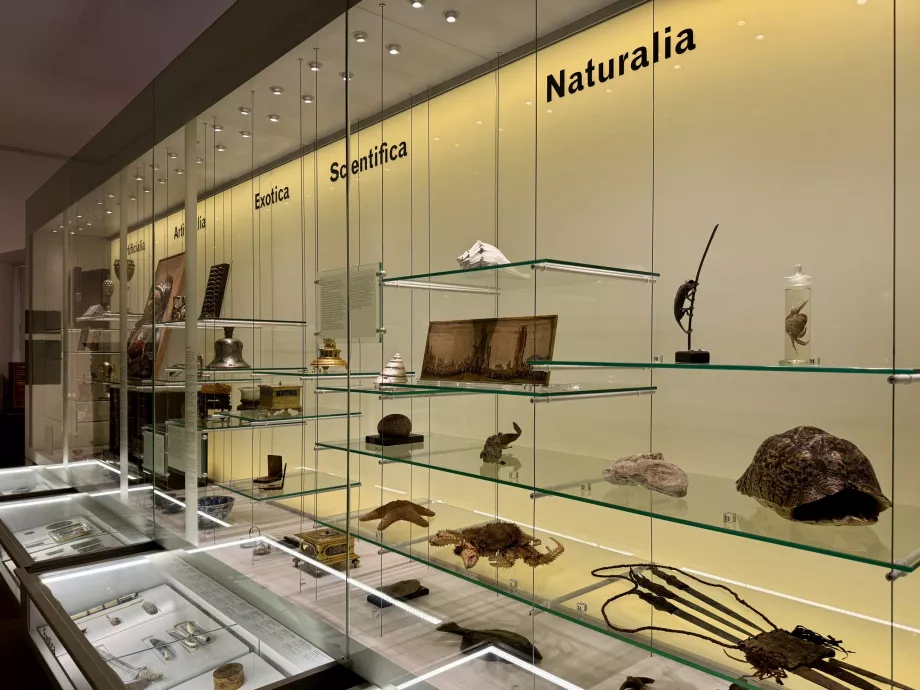 Museum i det kongelige slottet i Poznan