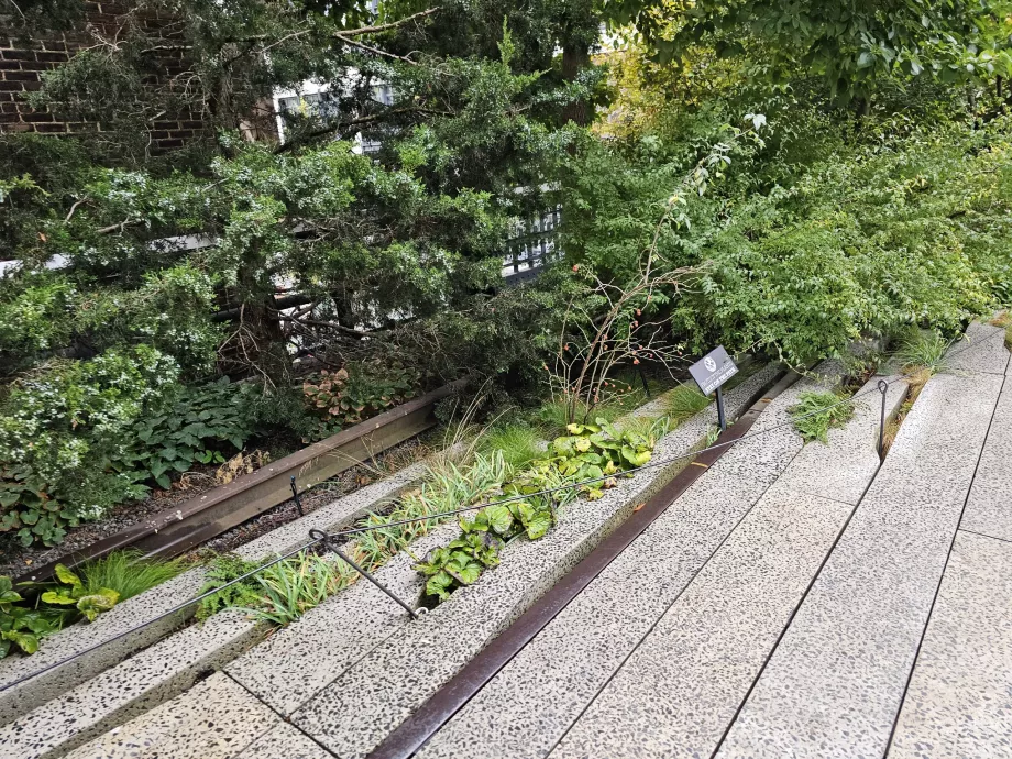 High Line