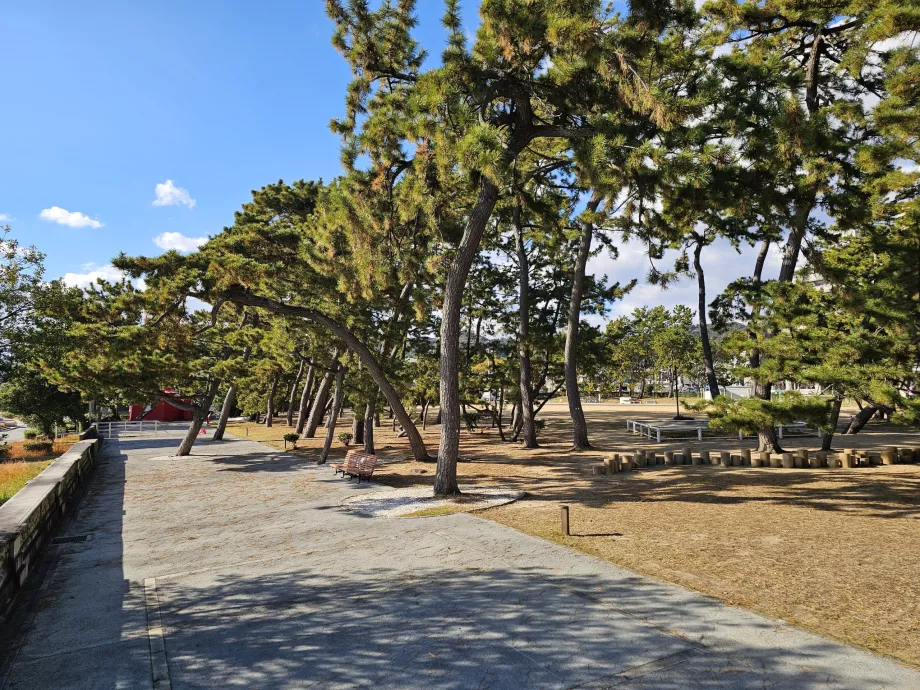 Park langs Suma-stranden