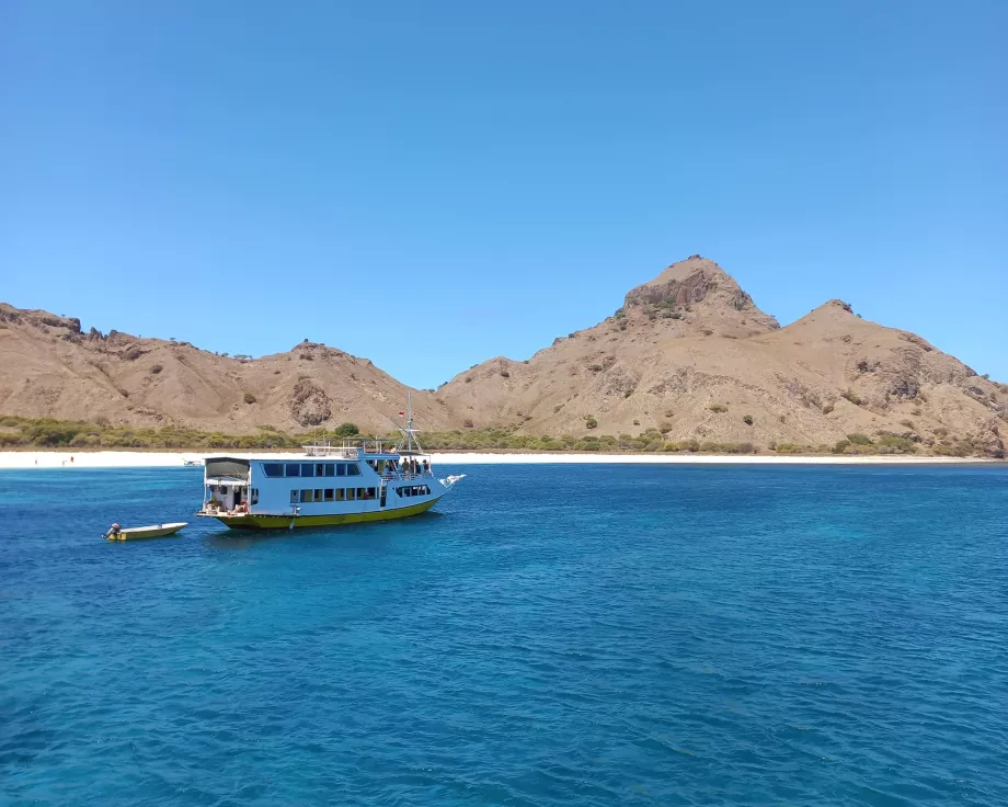 Rinca Island, Komodo-øyene, Indonesia