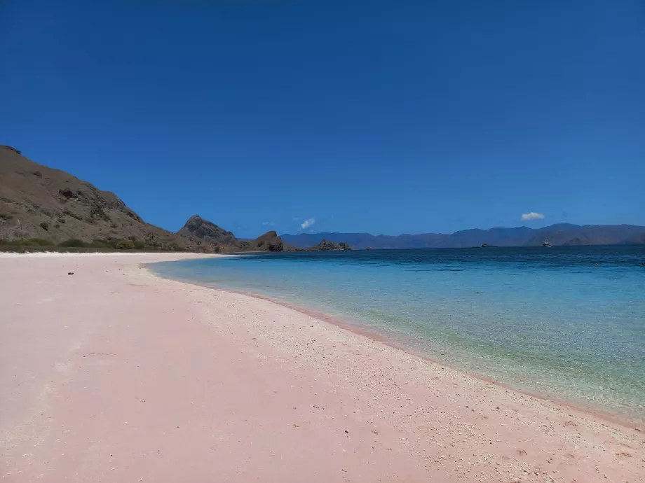 Pink Beach, Komodo-øyene, Indonesia