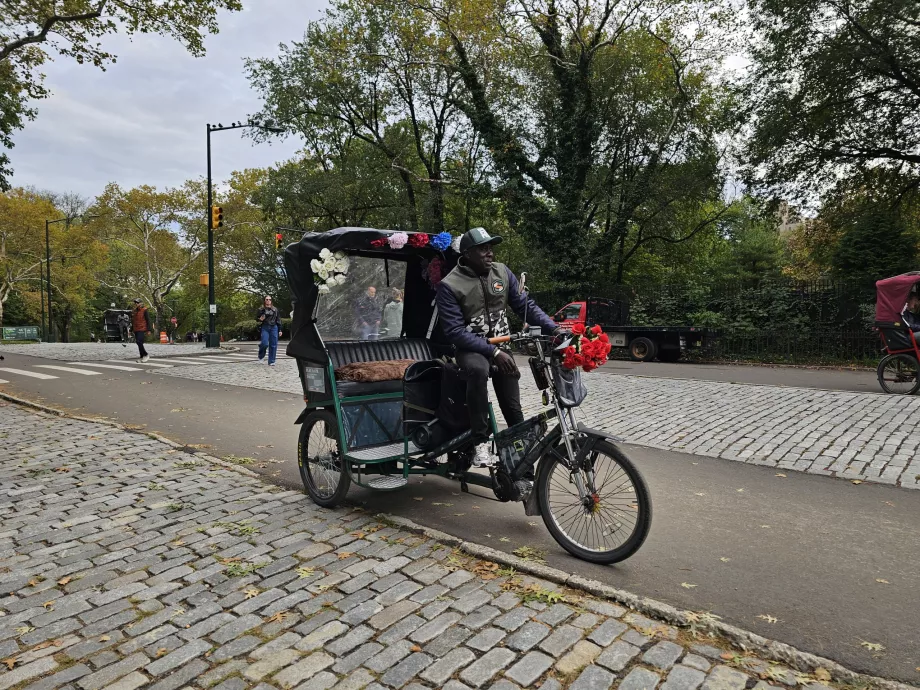 Rickshaw i Central Park