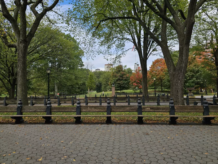 Central Park