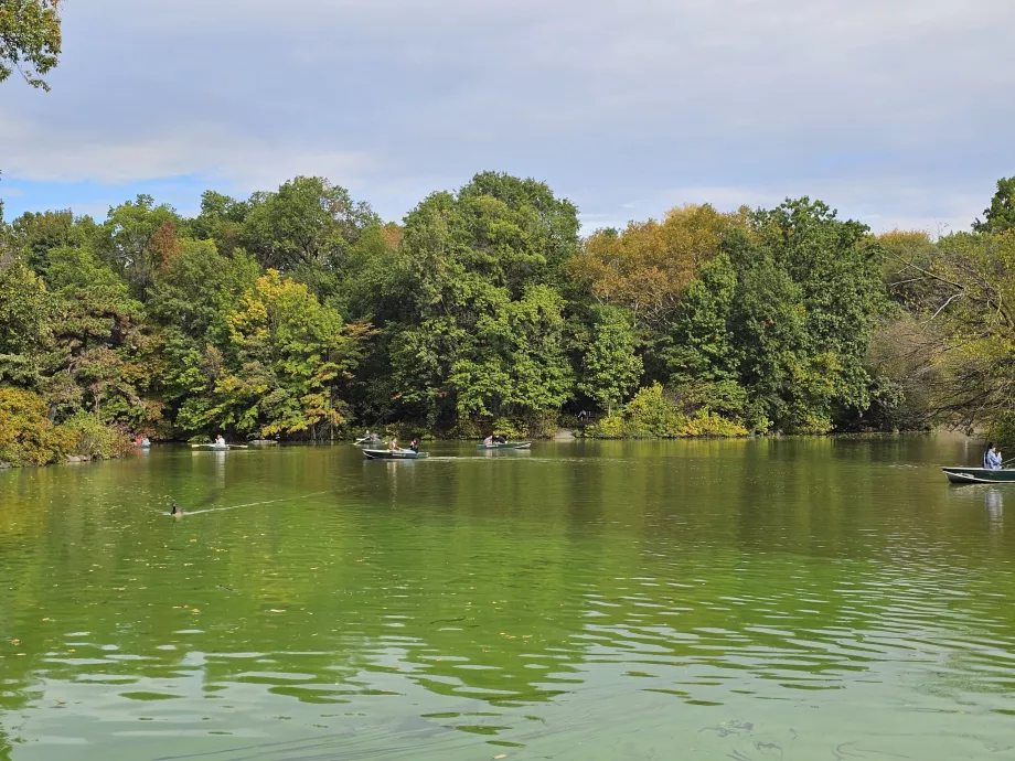 Innsjøen i Central Park