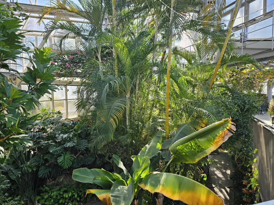 Drivhuset i Nunobiki Herb Gardens