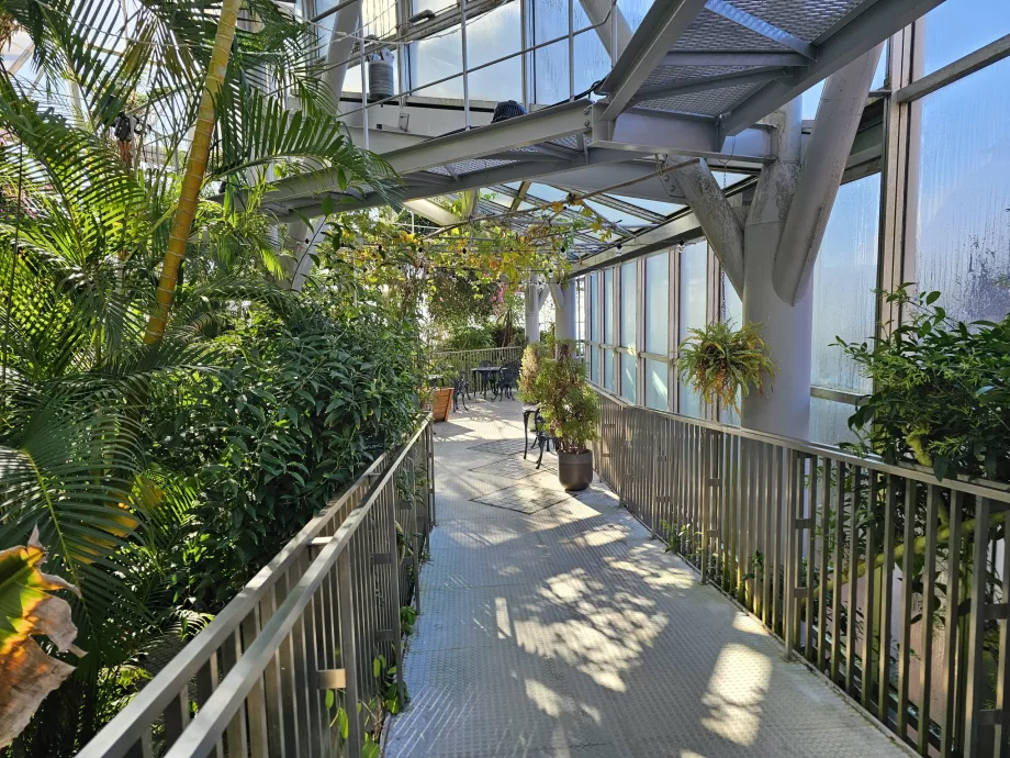 Drivhuset i Nunobiki urtehage