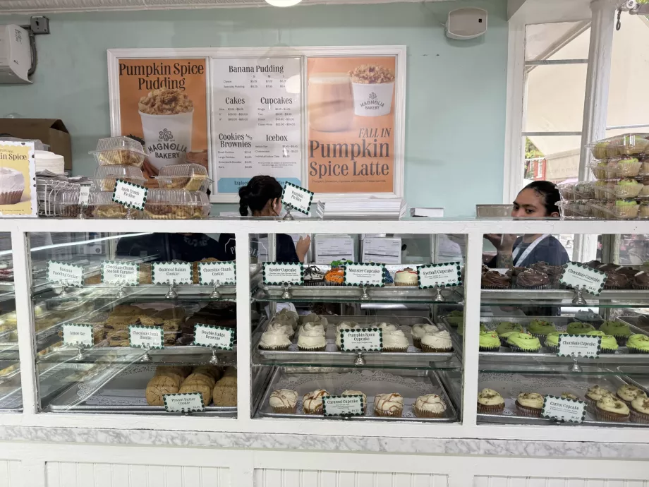 Magnolia Bakeri