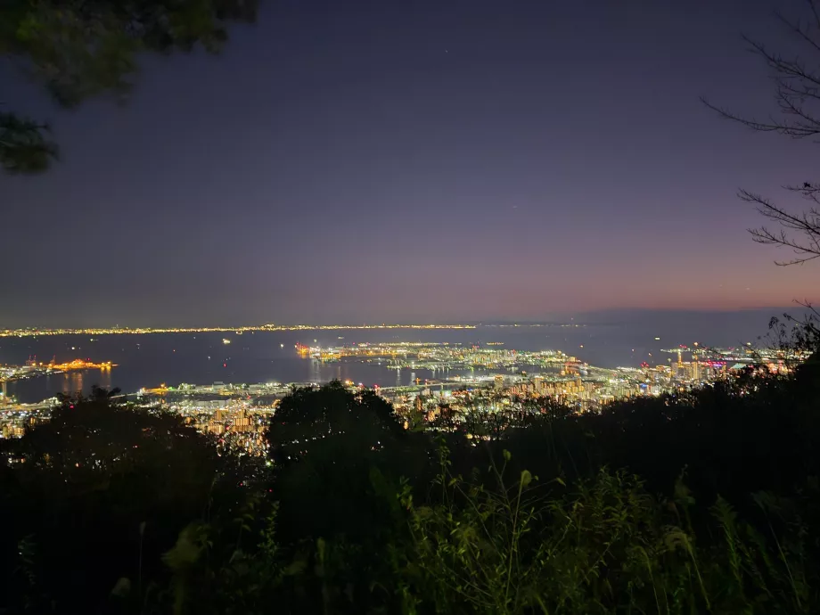 Utsikt fra toppstasjonen på taubanen Maya