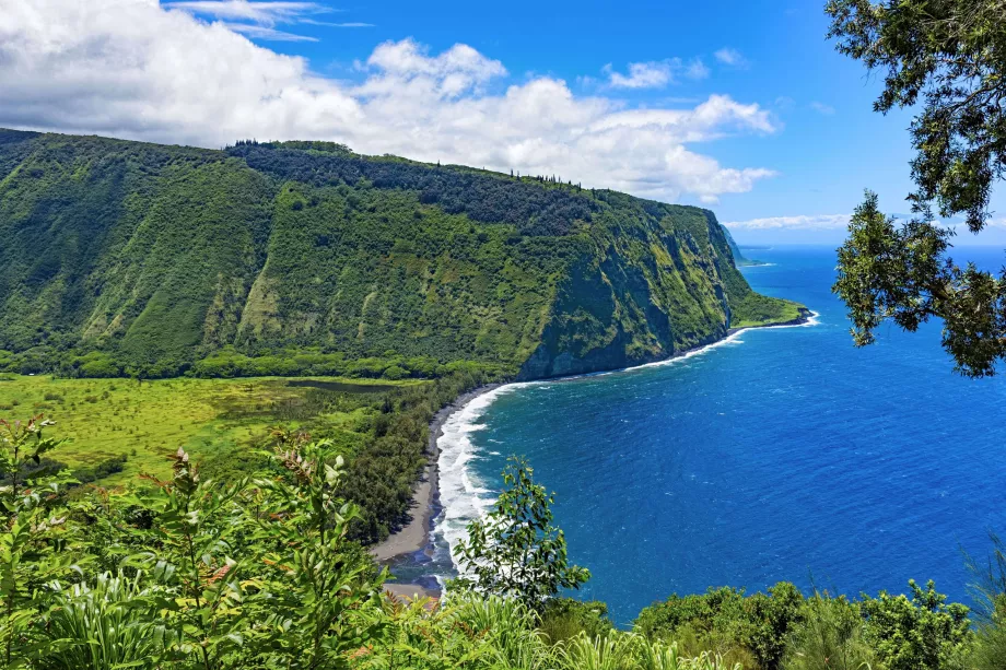 Waipio