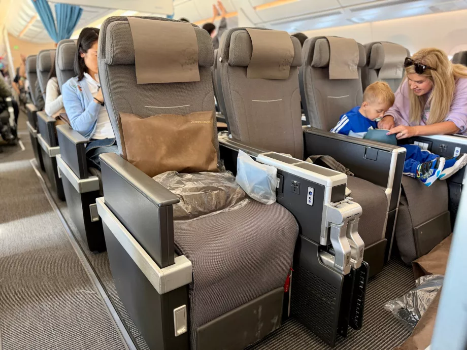 Seter i Premium Economy
