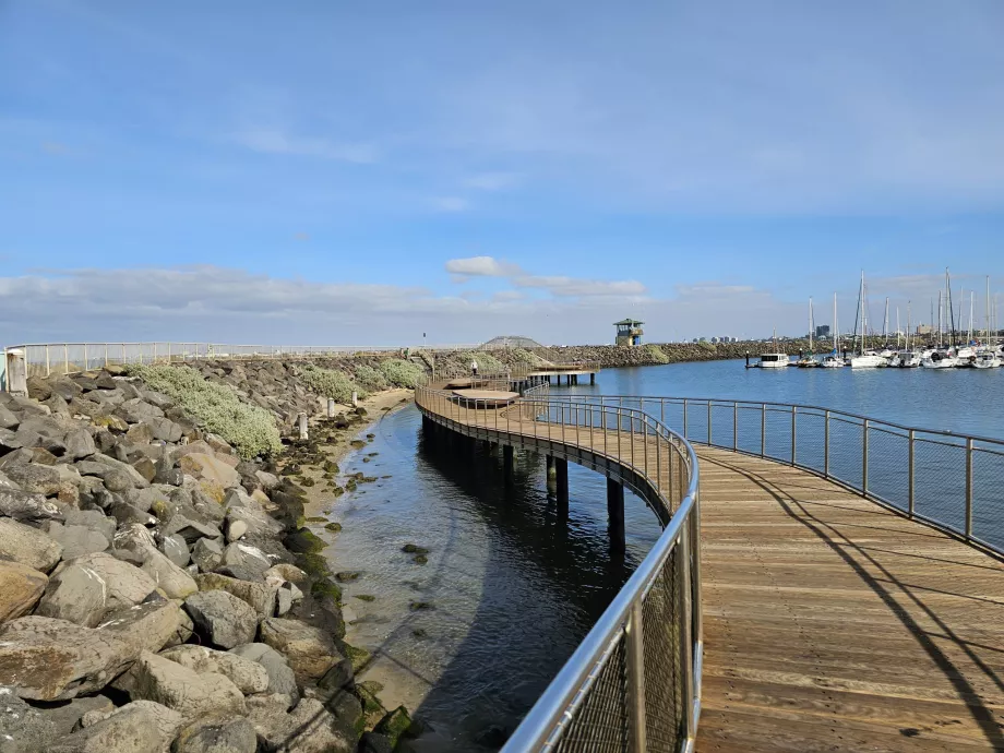 Pingvinspeilingssti på St. Kilda Pier
