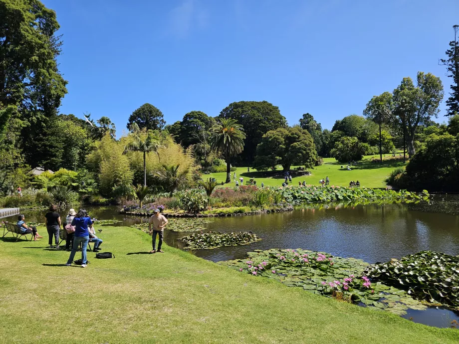 Den kongelige botaniske hage