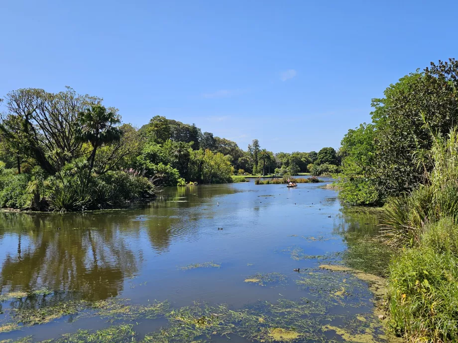 Den kongelige botaniske hage