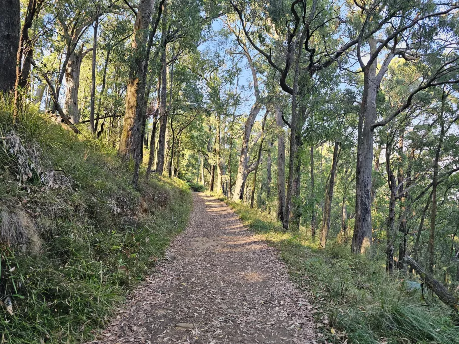 Dandenong Ranges, tursti