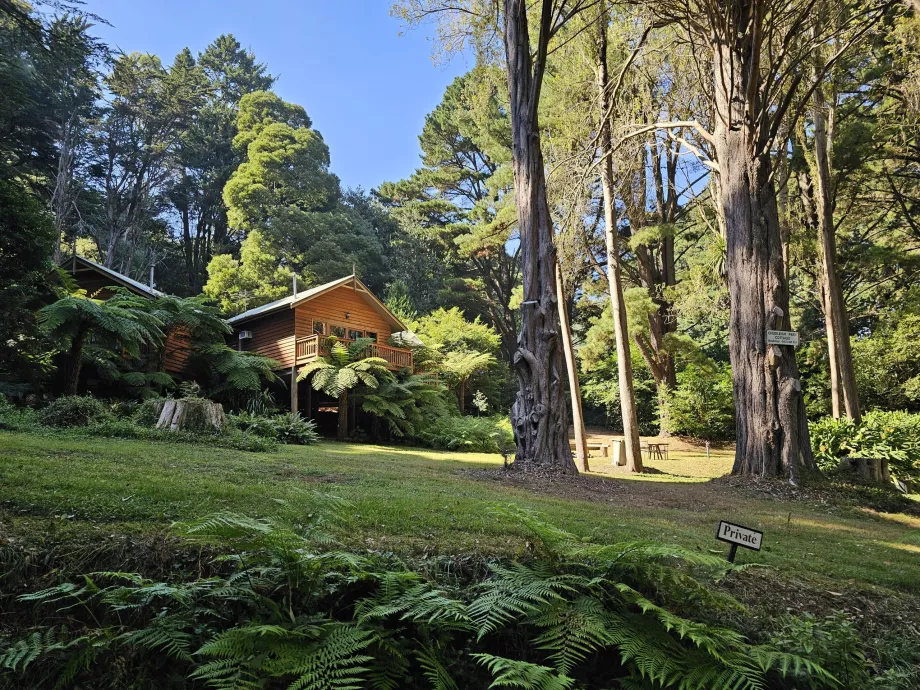 Dandenong Ranges