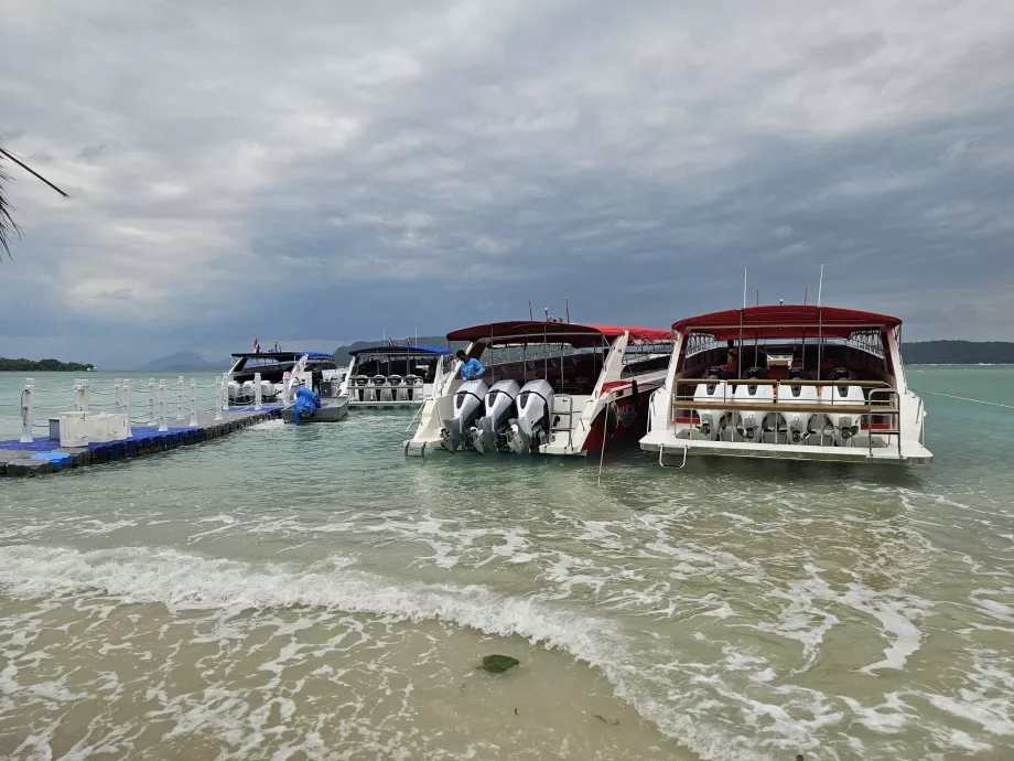 Turistbåter på Pig Island