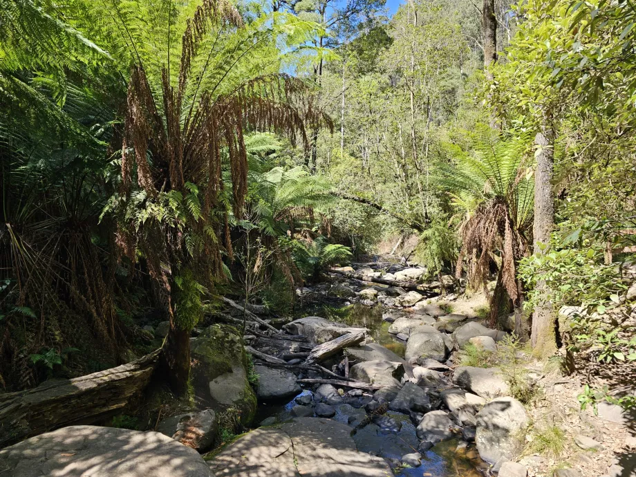 Erskine Falls